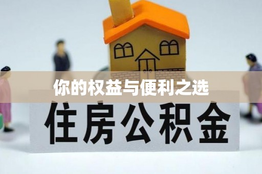 旗津你的权益与便利之选