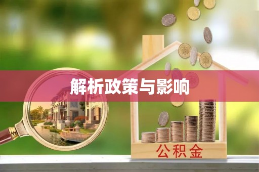 旗津解析政策与影响