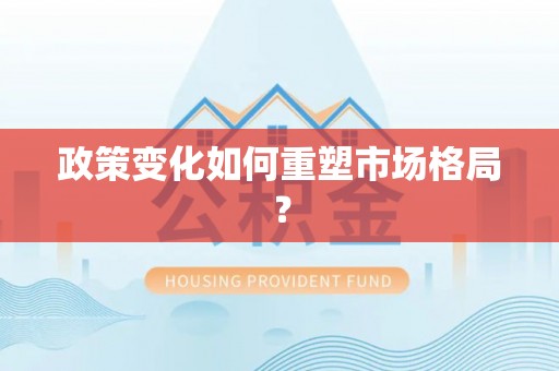 旗津政策变化如何重塑市场格局？