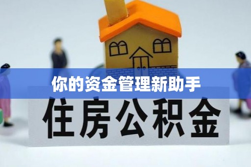 旗津你的资金管理新助手