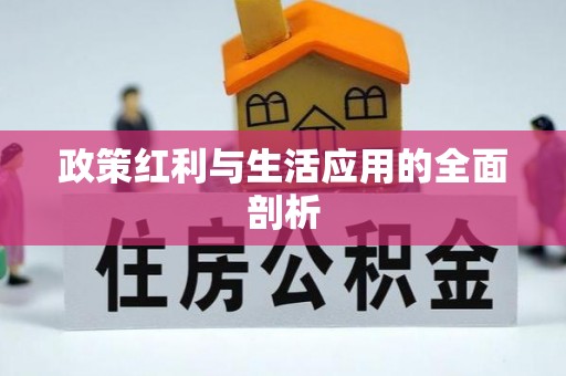 旗津政策红利与生活应用的全面剖析